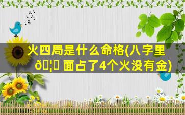 火四局是什么命格(八字里 🦄 面占了4个火没有金)
